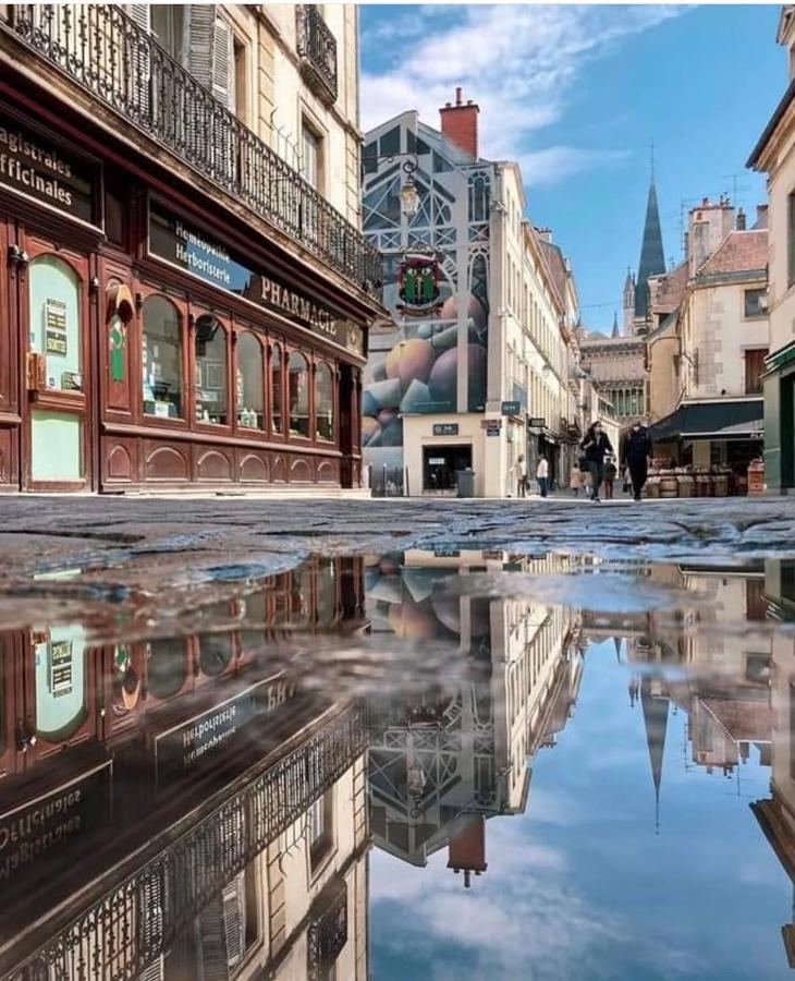 Charmante Maison Climatisee Avec Son Jardin A 5 Minutes De Dijon Saint-Apollinaire  Buitenkant foto